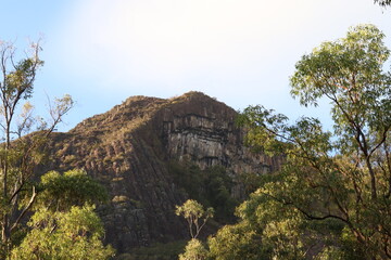 looking through the trees at mount beerwah