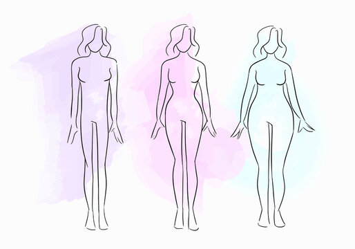 Silhouettes of various types of female figures. Female body types. Body shape line vector illustration