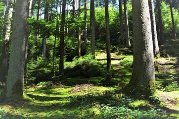 idyllischer Wanderweg
