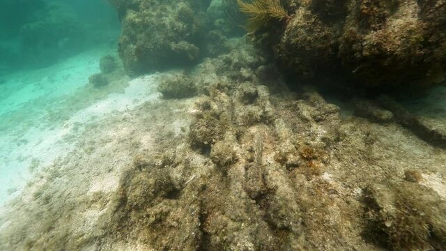 Underwater, pov, swimming over a coral reef, Anegada, British Virgin Islands