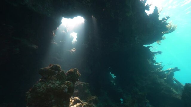 Underwater, pov, backlit coral reef, Anegada, British Virgin Islands
