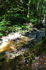 idyllischer Wanderweg