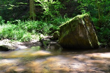 idyllischer Wanderweg