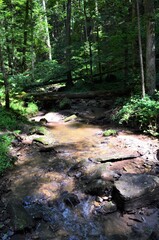 idyllischer Wanderweg