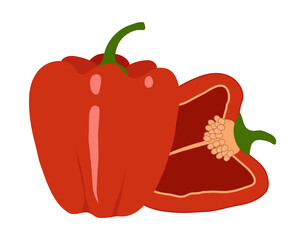 Red sweet pepper. Paprika. Vegetable whole and cut in half. Isolated objects on a white background. Vector illustration.
