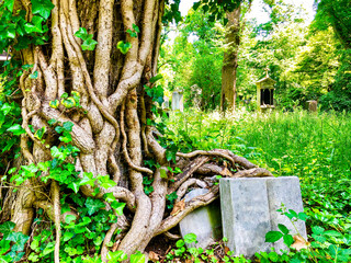 Beautiful cemetary or graveyard Südfriedhof Sudfriedhof in Munich, Germany, famous landmark...