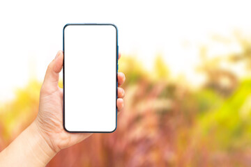 Mock up image of A hand holding a blank screen of smartphone on Autumn season blurred​ background.