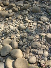 river rock that is starting to dry