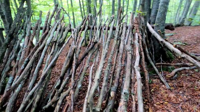CAPANNA PRIMITIVA NEL BOSCO