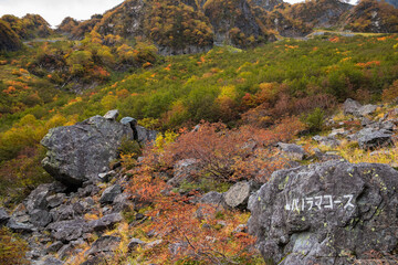 令和二年、日本一紅葉が美しい涸沢カールでシーズンインの紅葉風景を高解像度で撮影