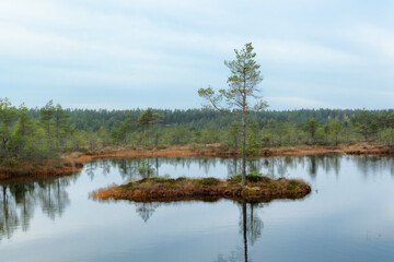 Viru Raba, Lehemaa National Park, Estonia