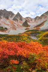 ダケカンバやナナカマドでカラフルに色づく涸沢カールの紅葉風景