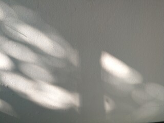 Bokeh background, tree shades fall on the wall.