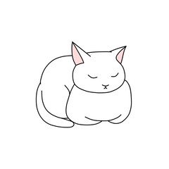 目を閉じている白色の猫