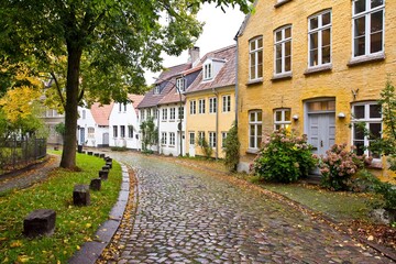 Fototapeta na wymiar Colorful houses in line along a path with flowers, green trees in autumn in Flensburg, Germany.
