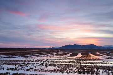 Obraz premium Bello atardecer en los humedales cercanos a la población de La Llosa, en la provincia de Castellón. Comunidad Valenciana. España
