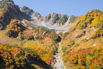 令和二年、日本一紅葉が美しい涸沢カールでシーズンインの紅葉風景を高解像度で撮影