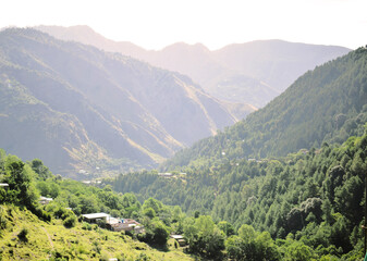 landscape in the morning