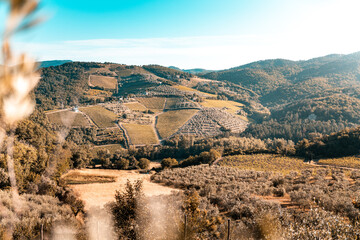 Tuscany, vineyards in autumn. Italy