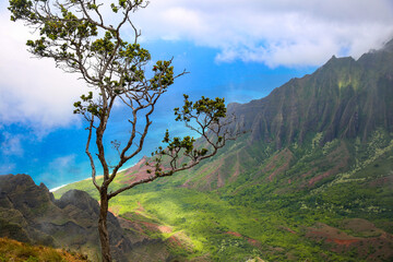 Kalalau Valley, Na Pali Coast State Wilderness Park, Kauai, Hawaii