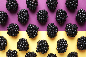 Tasty ripe blackberries on color background, flat lay