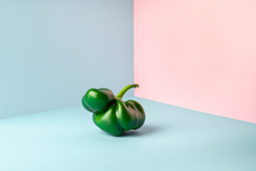 Trendy weird ugly sweet pepper with mutations on a light blue and pink background. Organic farm...