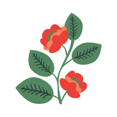 Camellia japonica flower