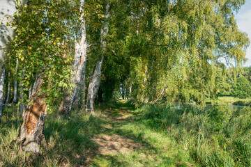 Autumn landscape at the german river Dahme in Brandenburg