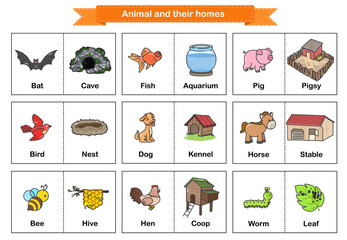 Fototapeta premium Animal and Their Homes Flash Cards. Printable flash card illustrating. - Flashcards for education.
