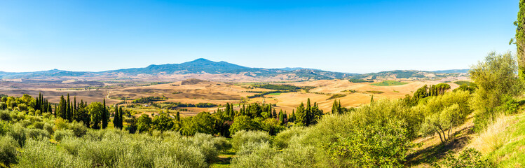 Fototapeta na wymiar Panoramic view at the Nature in Valley d Orcia near Pienza in Italy