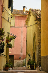 A narrow street among the old houses of Mirabello Sannitico, a medieval village in the province of Campobasso, Italy