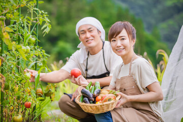 トマトを栽培する男女
