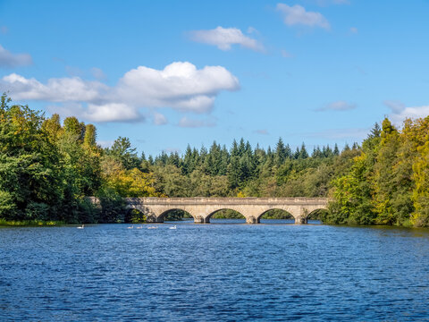 Virginia Water lake, reservoir, 5 arch bridge. Surrey, England, UK.