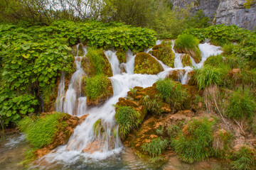 Fototapeta na wymiar The beautiful lakes and waterfalls in Plitvice Lakes National Park, Croatia.