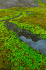 Billefjorden, Svalbard Islands, Artic Ocean, Norway, Europe