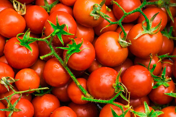 Bright red cherry tomatoes with green tails and twigs