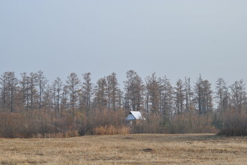 
forester's house in the distance
