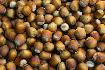 hazelnuts lying on a flat surface top view