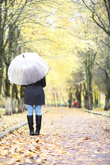 Young girl on a walk in the autumn park