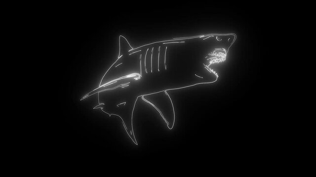 white shark digital neon video