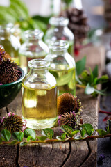 Echinacea purpurea essential oil with dried Echinacea flowers. Dried herbs with essential oils for...