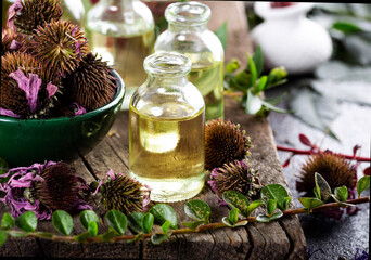 Echinacea purpurea essential oil with dried Echinacea flowers. Dried herbs with essential oils for aromatherapy treatment.