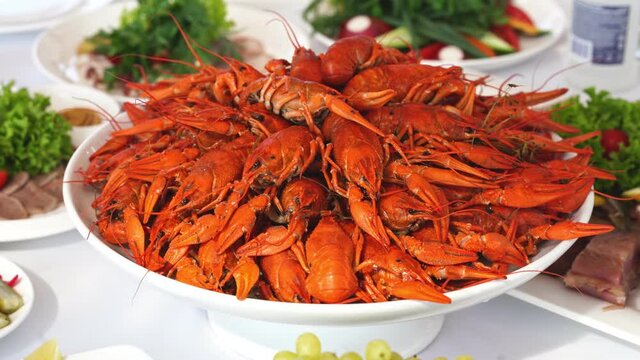 crayfish on holiday table. beer snack. river food for party.