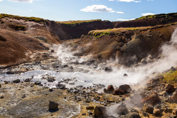 Geothermal area, hot steam, solfataras and hot mud cauldrons. Krisuvik, western Iceland.