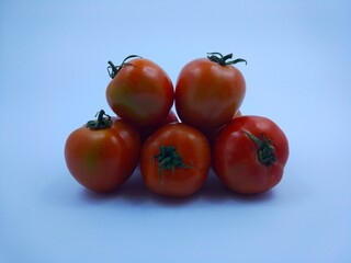 tomatoes on a white background