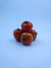 tomatoes on a white background