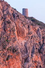 PEREGRINE FALCON - HALCON PEREGRINO, Torre Vigía de Cerro Gordo, Cliffs of Maro Cerro Gordo -...