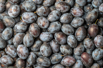 Texture background of fresh blue plums, close up