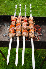 Shashlik from pieces of fish with tomatoes are fried on the grill in summer on a background of green grass. Camping.