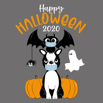 Happy Halloween 2020- cute boston terrier, bat, spider in facemask, and ghost and pumpkins. Funny greeting card for Halloween in covid-19 pandemic self isolated period.  